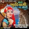 About Mara Adivasi No Vat Pade Bhai Song